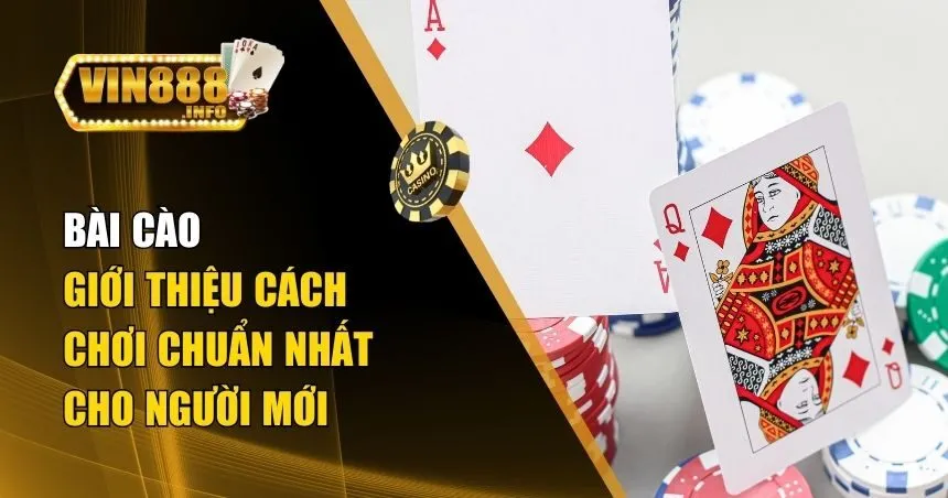 Bài Cào Và Cách Chơi Chuẩn Cho Tân Binh Tìm Hiểu