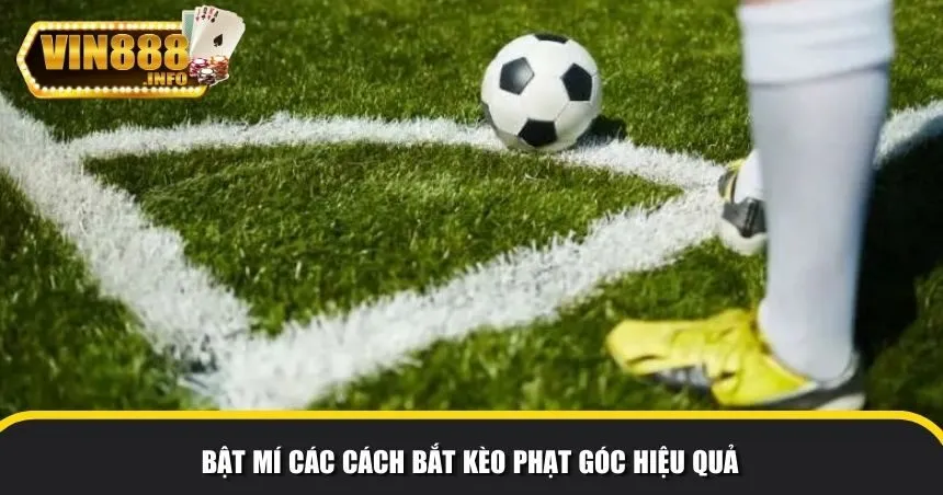 Bật mí những mẹo bắt kèo phạt góc hiệu quả