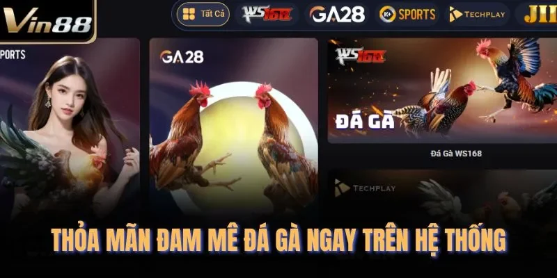 Thỏa mãn đam mê đá gà ngay trên hệ thống